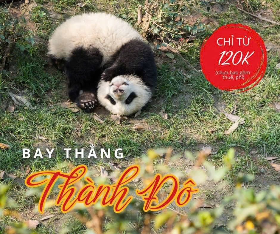 ThanhDoTGVR